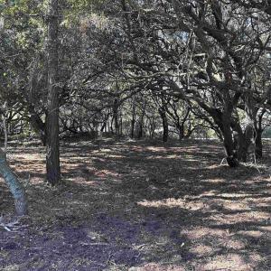 Photo #5 of 970 Harbor View, Corolla, NC 0.2 acres
