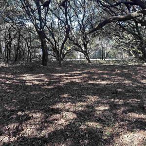 Photo #2 of 970 Harbor View, Corolla, NC 0.2 acres
