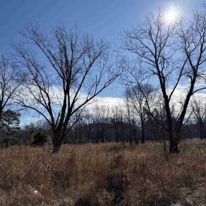 Photo #6 of Mallard Drive, Roper, NC