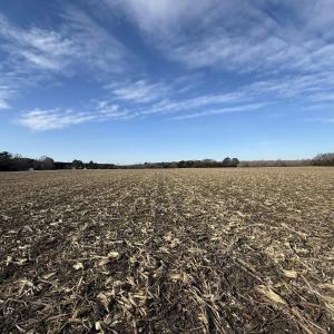 Photo #2 of NC HWY 32, Roper, NC