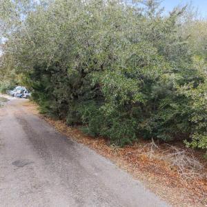 Photo #8 of 47138 Rocky Rollinson Road, Buxton, NC 0.9 acres