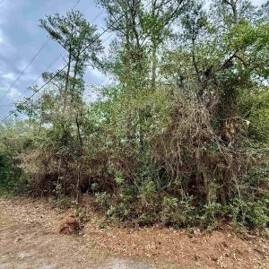 Photo #1 of Holly Ridge Road, Manteo, NC