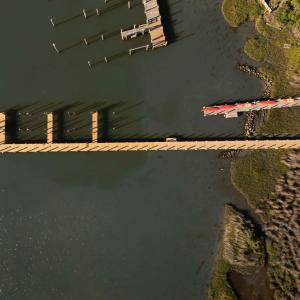 New Wentletrap Dock