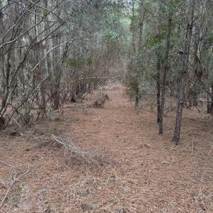 Photo #2 of 12 Sessoms Drive, Scranton, NC 8.5 acres