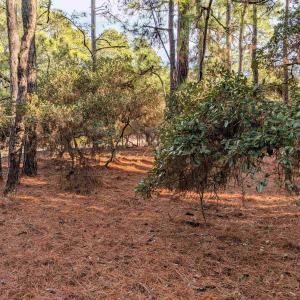 Photo #13 of 2368 Swan Island Road, Corolla, NC 0.3 acres