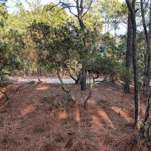 Photo #4 of 2368 Swan Island Road, Corolla, NC 0.3 acres