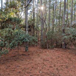 Photo #10 of 2368 Swan Island Road, Corolla, NC 0.3 acres