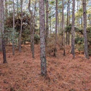 Photo #11 of 2368 Swan Island Road, Corolla, NC 0.3 acres