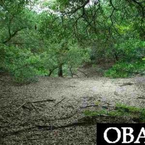 Photo #1 of 1695 Ridge Road, Corolla, NC