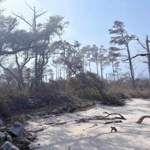 Photo #3 of Cahoon Road, Manns Harbor, NC 9.6 acres