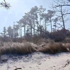 Photo #2 of Cahoon Road, Manns Harbor, NC 9.6 acres