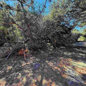 Photo #8 of 23875 NC Highway 12, Rodanthe, NC 0.7 acres