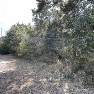 Photo #3 of Basnett Landing Road, Frisco, NC