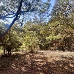 Photo #3 of 2392 Sandpiper Road, Corolla, NC 0.3 acres