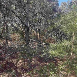 Photo #4 of 2392 Sandpiper Road, Corolla, NC 0.3 acres