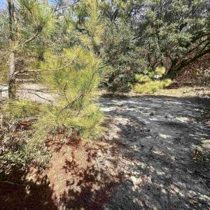 Photo #9 of 2392 Sandpiper Road, Corolla, NC 0.3 acres