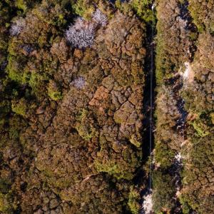 Photo #14 of 2392 Sandpiper Road, Corolla, NC 0.3 acres