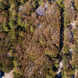 Photo #13 of 2392 Sandpiper Road, Corolla, NC 0.3 acres
