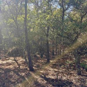Photo #3 of 2314 Sandpiper Road, Corolla, NC 0.3 acres