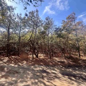 Photo #10 of 2314 Sandpiper Road, Corolla, NC 0.3 acres