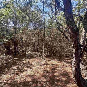 Photo #13 of 2314 Sandpiper Road, Corolla, NC 0.3 acres