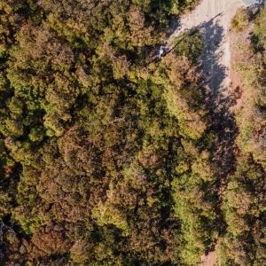Photo #16 of 2314 Sandpiper Road, Corolla, NC 0.3 acres