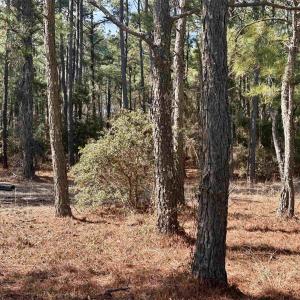 Photo #4 of 2324 Ocean Pearl Road, Corolla, NC 0.3 acres