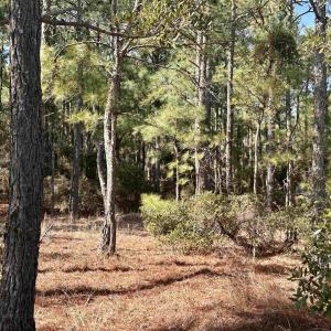 Photo #5 of 2324 Ocean Pearl Road, Corolla, NC 0.3 acres
