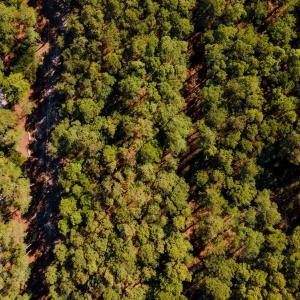 Photo #21 of 2324 Ocean Pearl Road, Corolla, NC 0.3 acres