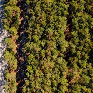 Photo #20 of 2324 Ocean Pearl Road, Corolla, NC 0.3 acres