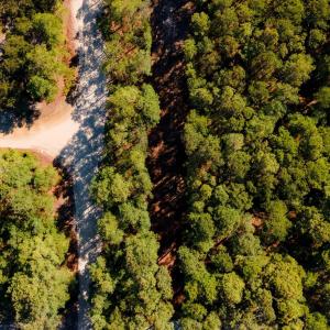 Photo #18 of 2324 Ocean Pearl Road, Corolla, NC 0.3 acres