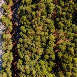 Photo #18 of 2322 Ocean Pearl Road, Corolla, NC 0.3 acres