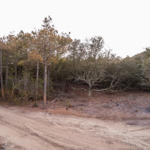 Photo #4 of 2356 Sandpiper Road, Corolla, NC 0.3 acres