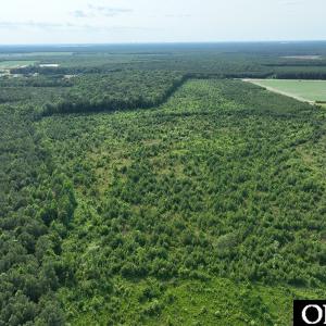 Photo #8 of Ocean Highway South, Hertford, NC