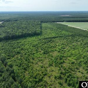 Photo #9 of Ocean Highway South, Hertford, NC