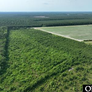 Photo #10 of Ocean Highway South, Hertford, NC