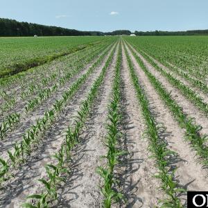 Photo #15 of Ocean Highway South, Hertford, NC