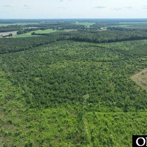 Photo #7 of Ocean Highway South, Hertford, NC