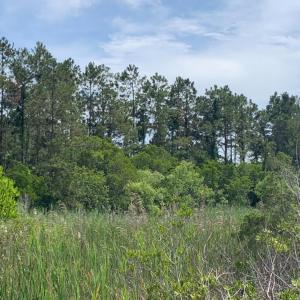 Photo #4 of 7552 Shipyard Road, Manns Harbor, NC 6.0 acres