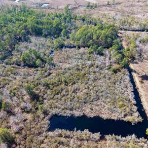 Photo #13 of 959 Waterlily Road, Coinjock, NC 12.7 acres