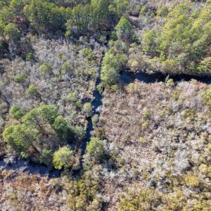 Photo #20 of 959 Waterlily Road, Coinjock, NC 12.7 acres