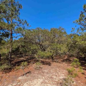 Photo #7 of 2206 Teal Road, Corolla, NC 0.3 acres