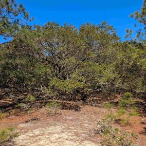 Photo #10 of 2206 Teal Road, Corolla, NC 0.3 acres