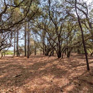 Photo #9 of 2021 Sea Gull Road, Corolla, NC 0.3 acres