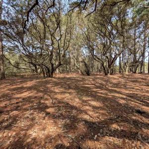 Photo #8 of 2021 Sea Gull Road, Corolla, NC 0.3 acres