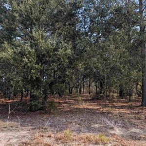 Photo #2 of 2021 Sea Gull Road, Corolla, NC 0.3 acres