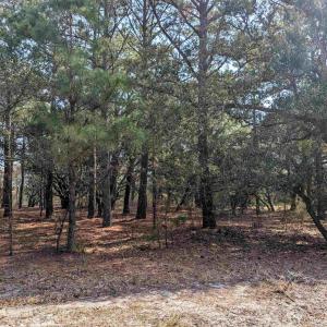 Photo #3 of 2021 Sea Gull Road, Corolla, NC 0.3 acres