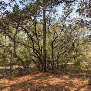 Photo #11 of 2021 Sea Gull Road, Corolla, NC 0.3 acres