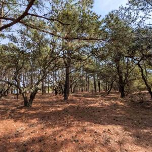 Photo #14 of 2021 Sea Gull Road, Corolla, NC 0.3 acres