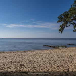 Community Beach
